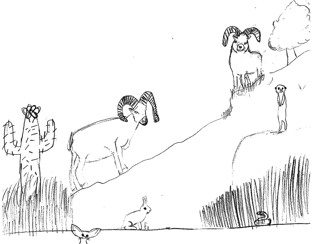 Youth drawing of wild animals Youth drawing of wild animals